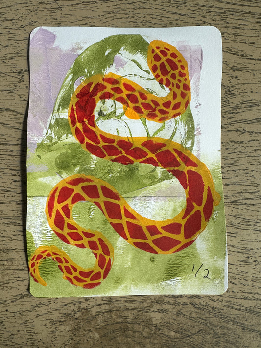 Yellow and Red Snake