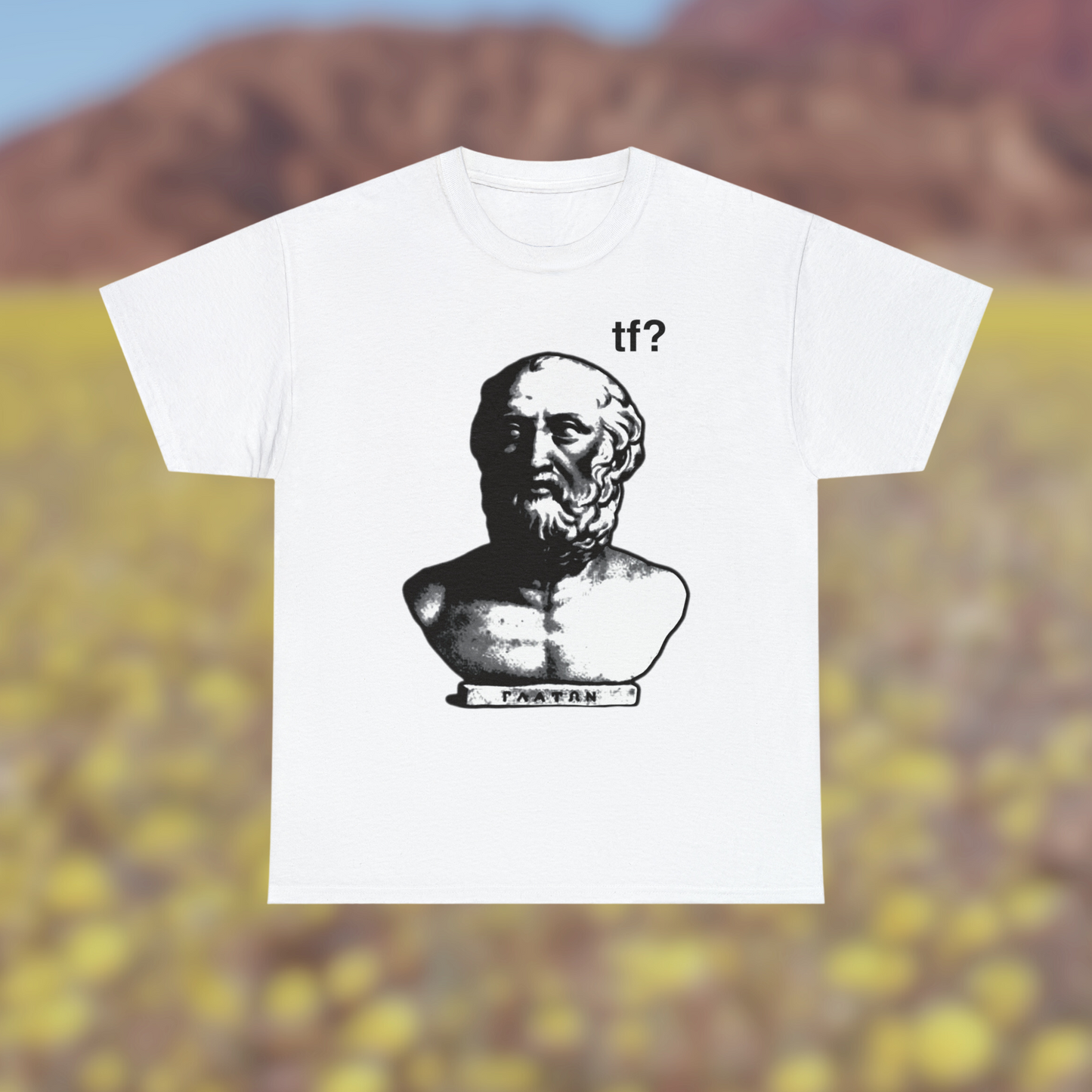 T-shirt Platon 